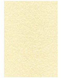 Papier a4 165g 50 feuilles - impression laser/jet d'encre