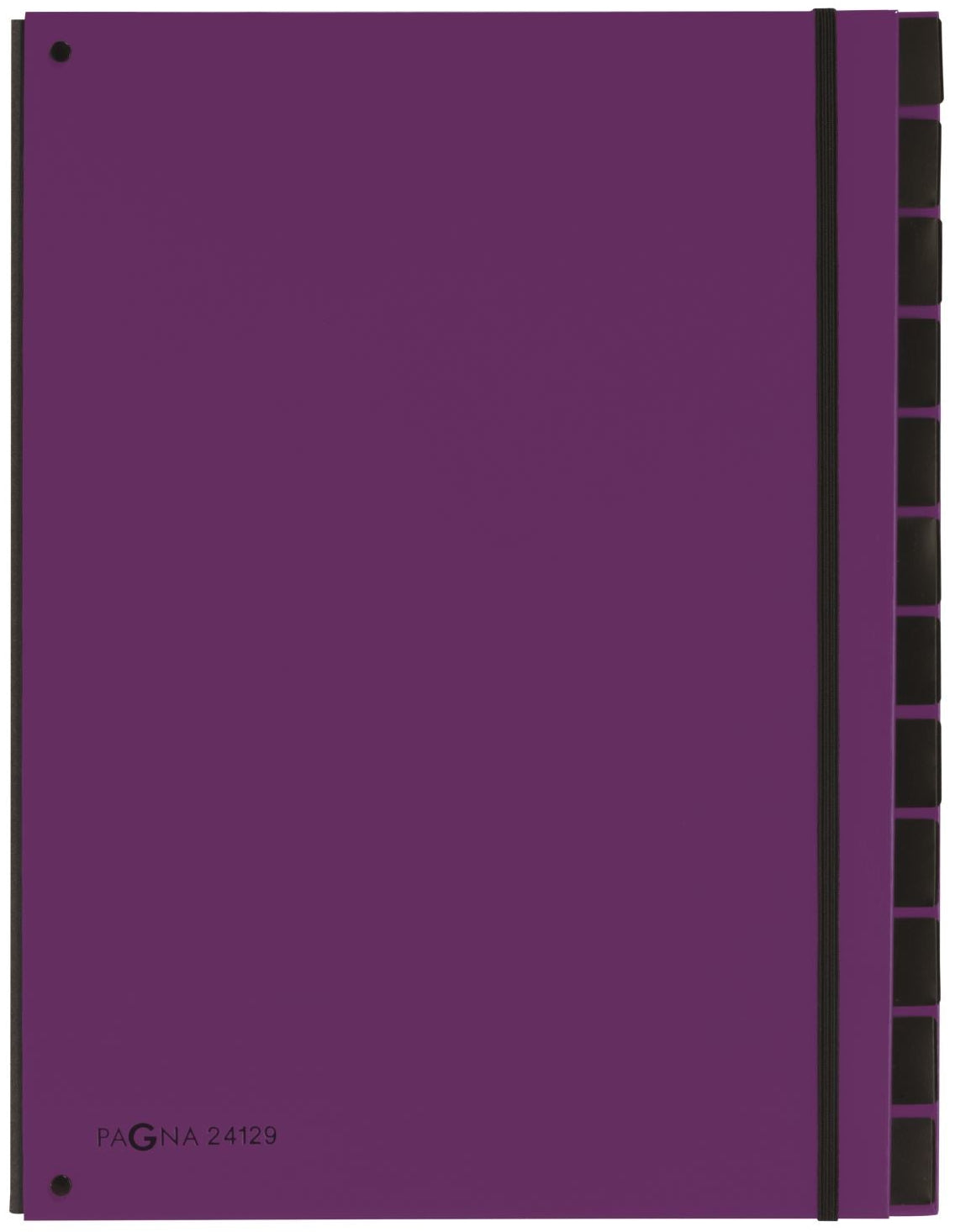 TRIEUR CARTE RIGIDE 12C VIOLET