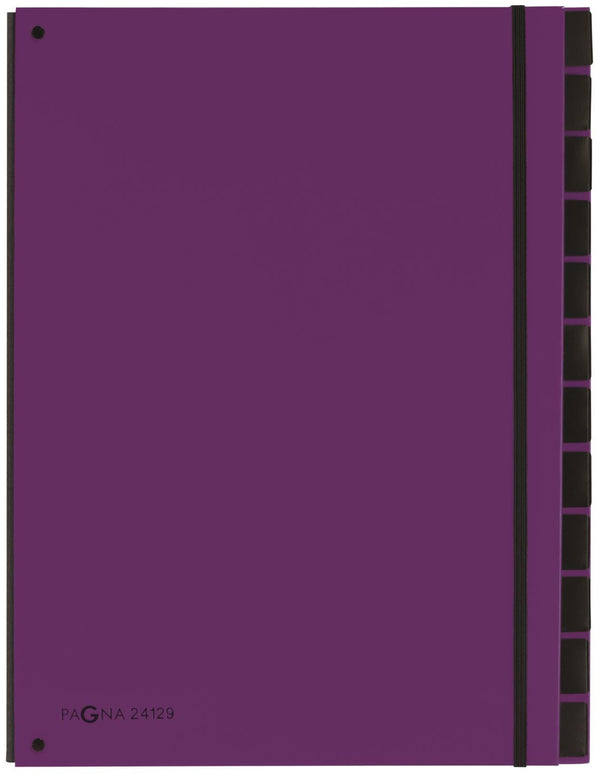 TRIEUR CARTE RIGIDE 12C VIOLET