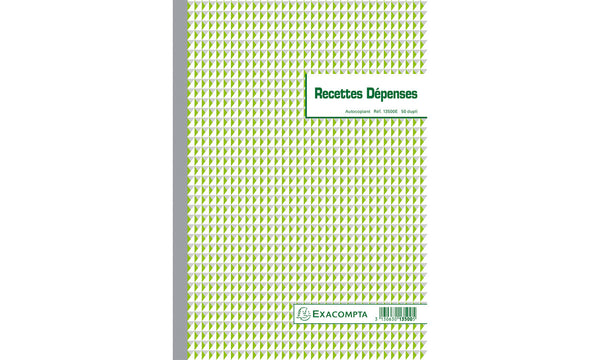 Manifold Recettes/Depenses 1350