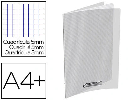 Cahier 48 pages 24x32cm incolore quadrillé 5x5