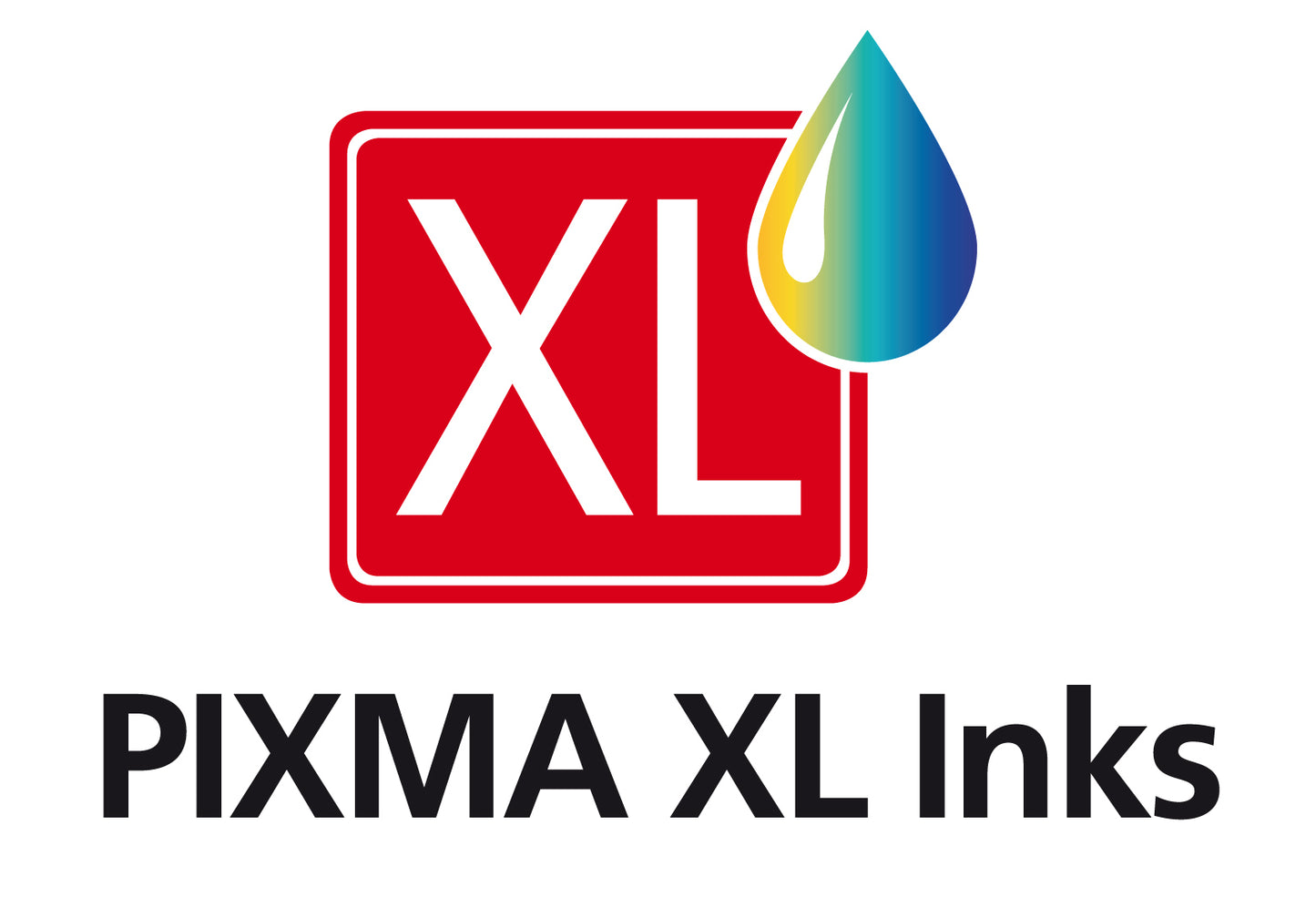 Cartouche d'encre Canon xl - pack double haute capacité