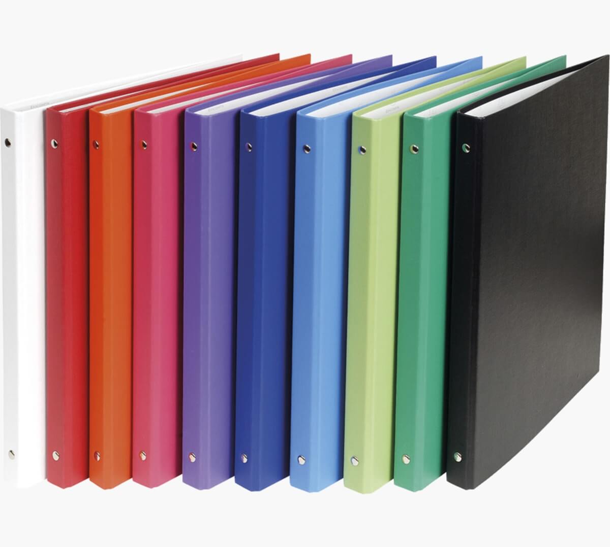 Classeur 4 anneaux a4 - capacité 140 feuilles