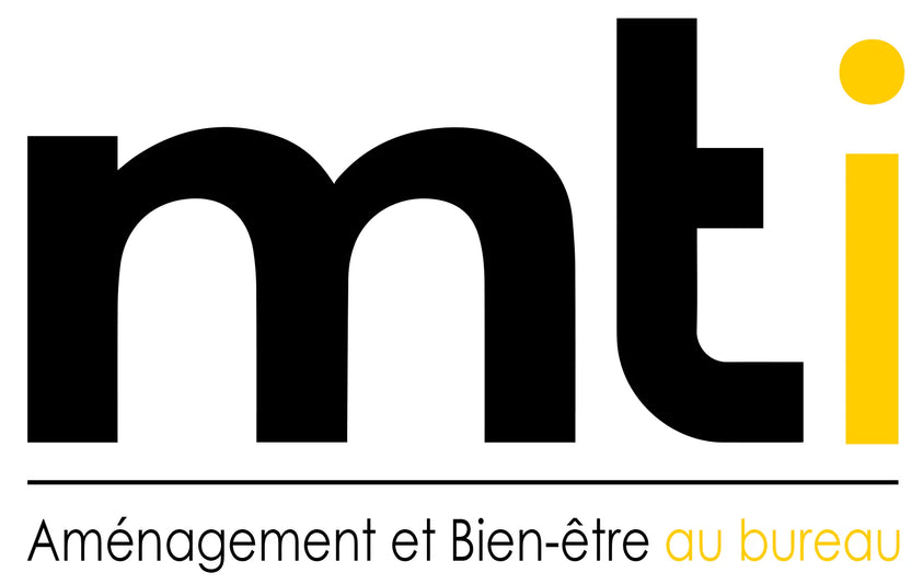 MT INTERNATIONAL
