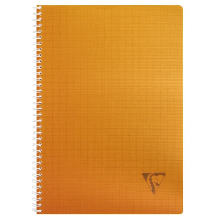 Cahier 21x29.7 ri lini 100 pages q fresh