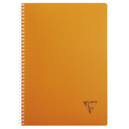 Cahier 21x29.7 ri lini 100 pages q fresh
