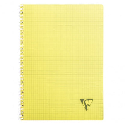 Cahier 21x29.7 ri lini 100 pages q fresh