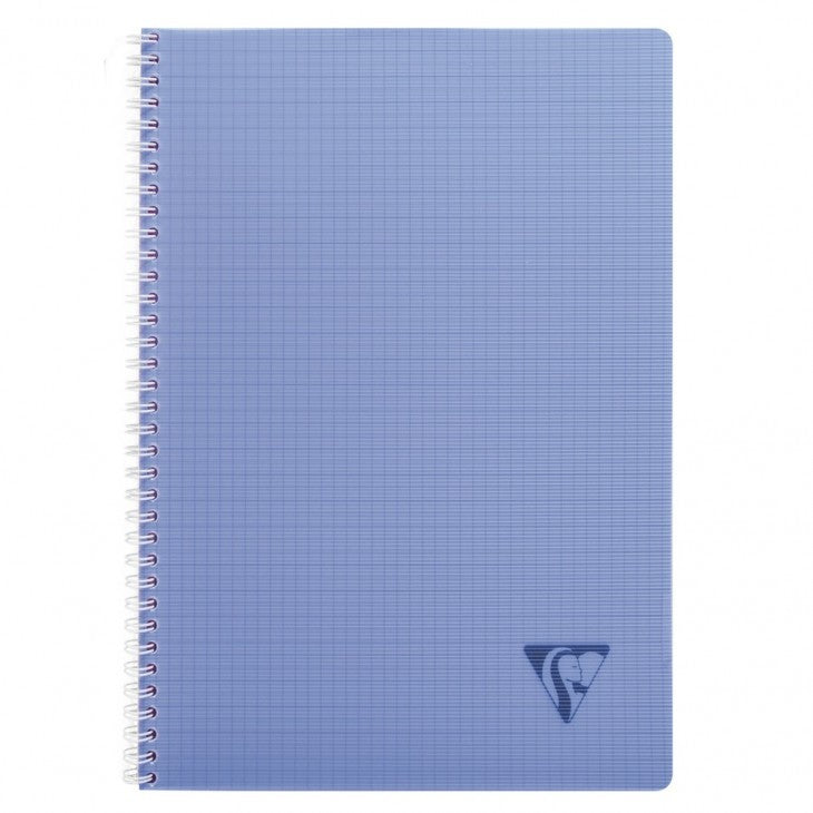 Cahier 21x29.7 ri lini 100 pages q fresh