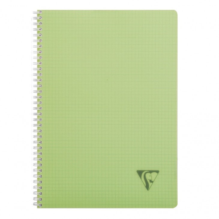 Cahier 21x29.7 ri lini 100 pages q fresh