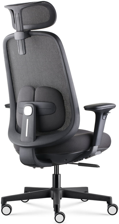 Fauteuil Ergonomique Gwendal - Confort Synchrone
