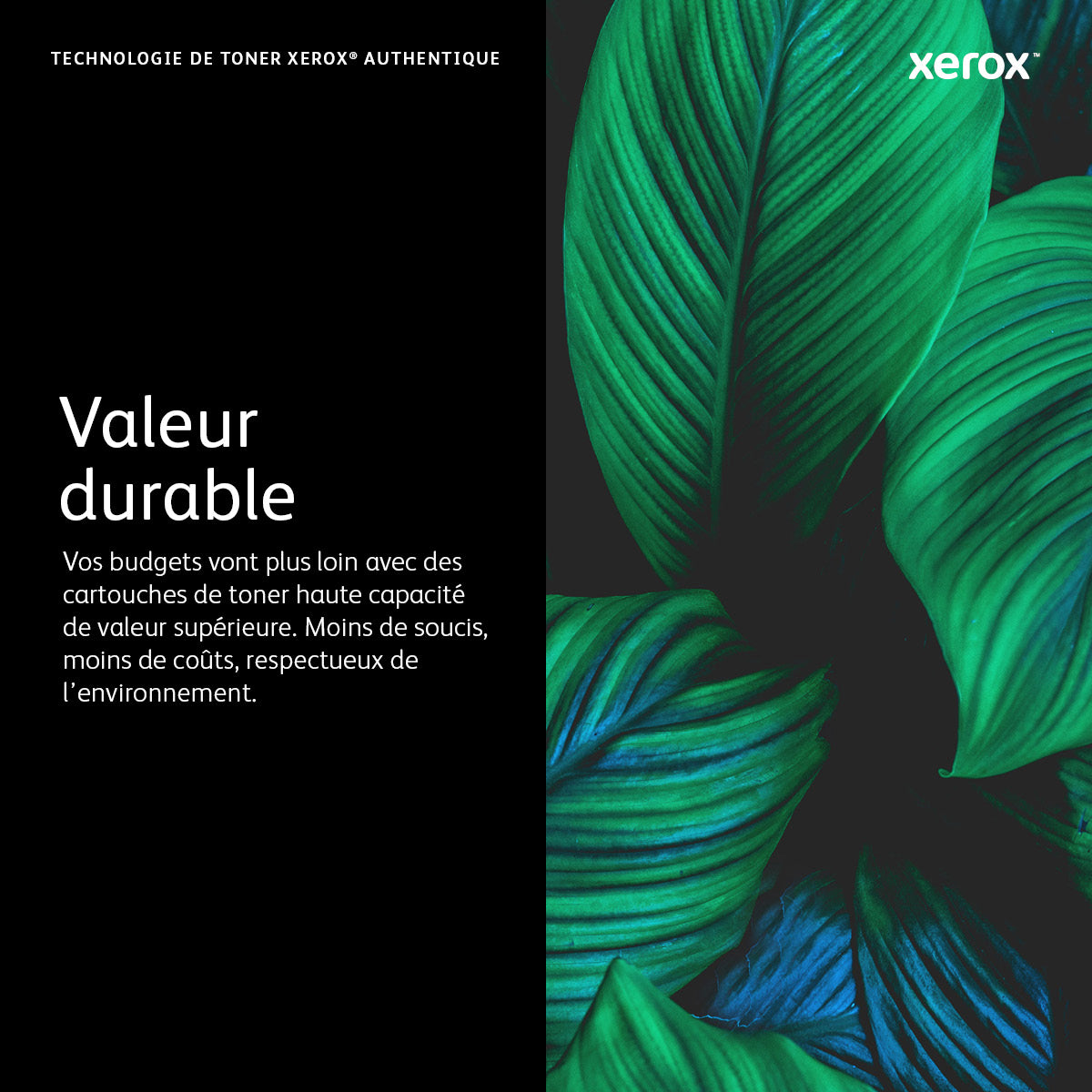 Cartouche toner haute capacité 3000 pages - noir