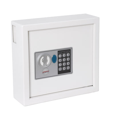 Armoire Securite 30 Cles