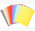 Chemises 220g standard paquet 100 assorti