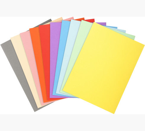 Chemises 220g standard paquet 100 assorti