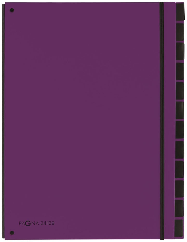 TRIEUR CARTE RIGIDE 12C VIOLET