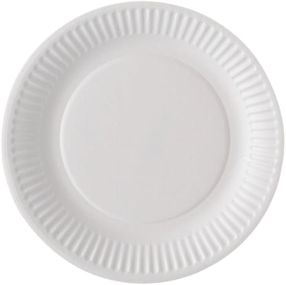Assiette jetable carton plastifie  lot de 100 -blanc