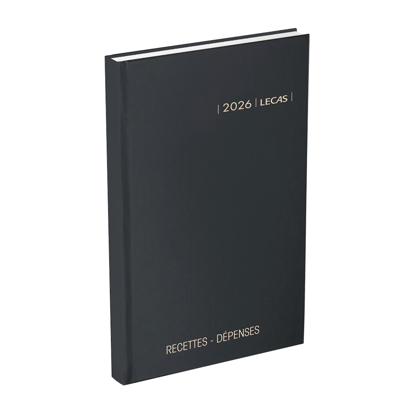 Agenda recettes/depenses 1j/pnoir