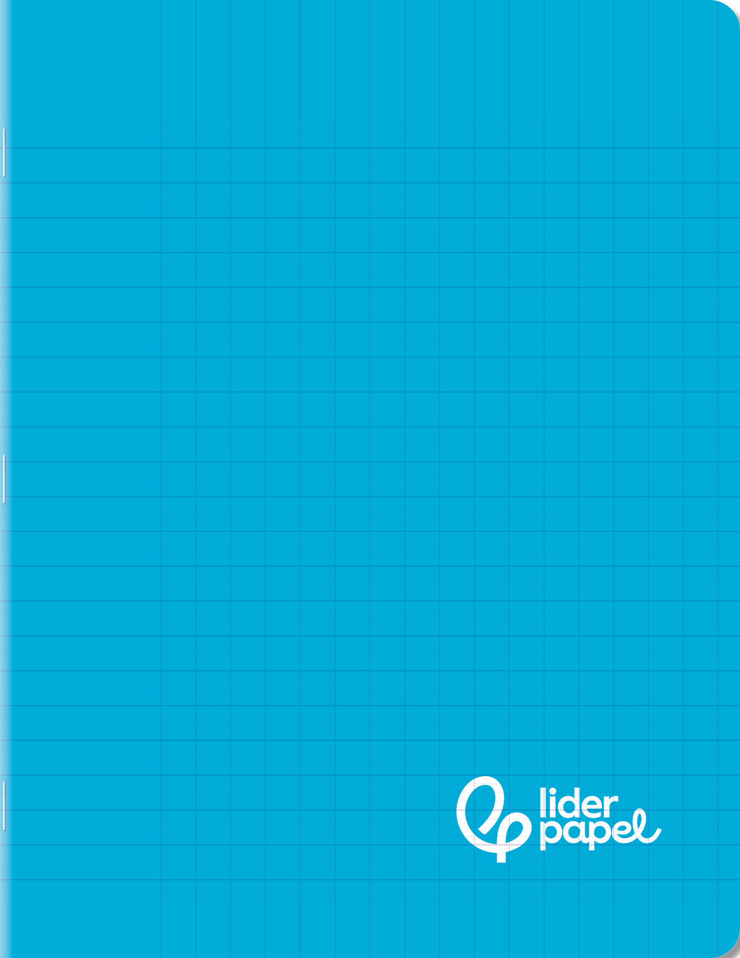 Cahier 17x22 96 Pages - Couverture Indéchirable