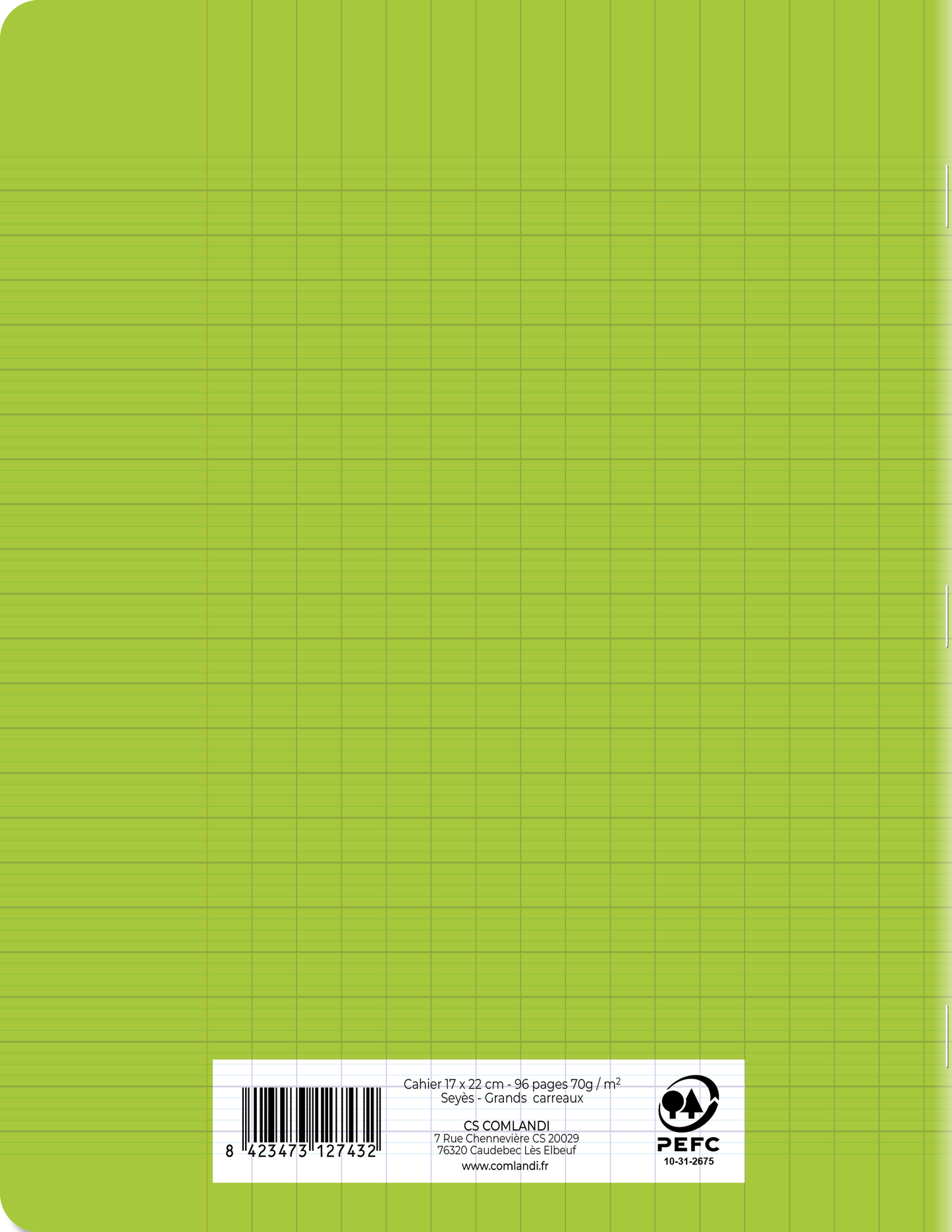Cahier Polypro Vert 17x22 96 Pages Seyès 90g