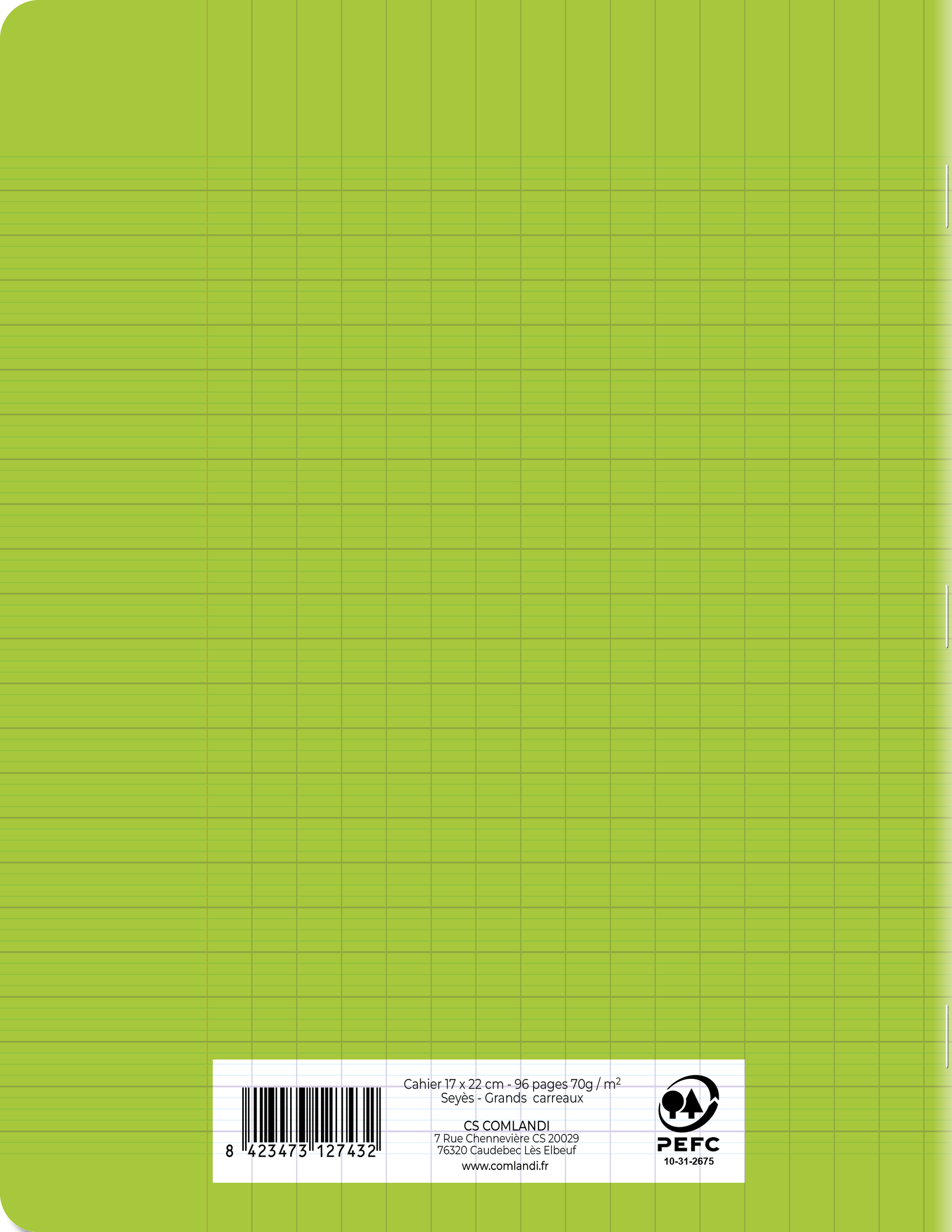 Cahier Polypro Vert 17x22 96 Pages Seyès 90g