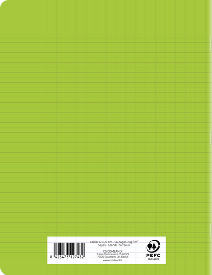 Cahier Polypro Vert 17x22 96 Pages Seyès 90g