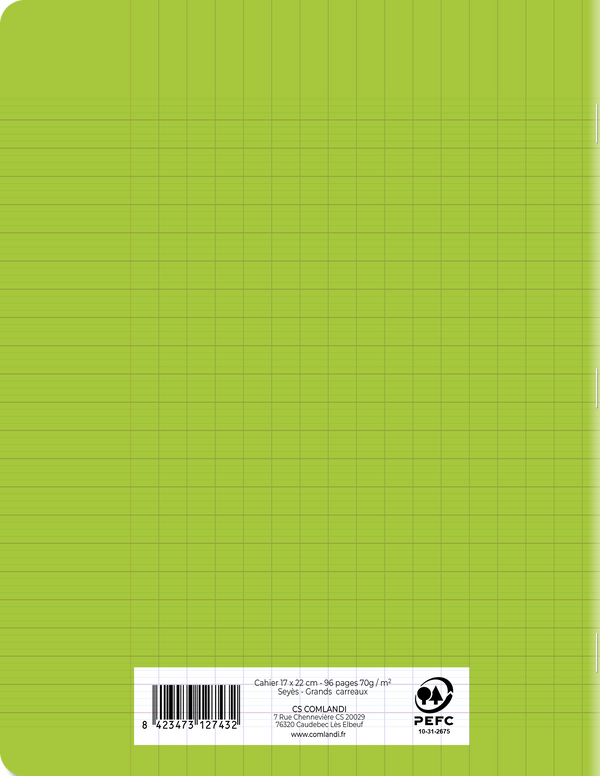 Cahier Polypro Vert 17x22 96 Pages Seyès 90g