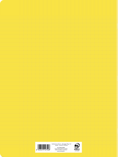 Cahier polypro jaune 24x32 48 pages seyes