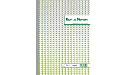 Manifold Recettes/Depenses 1350