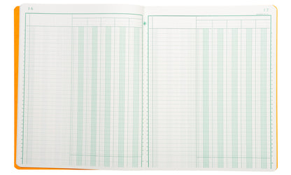 Registre exacompta ref 4050