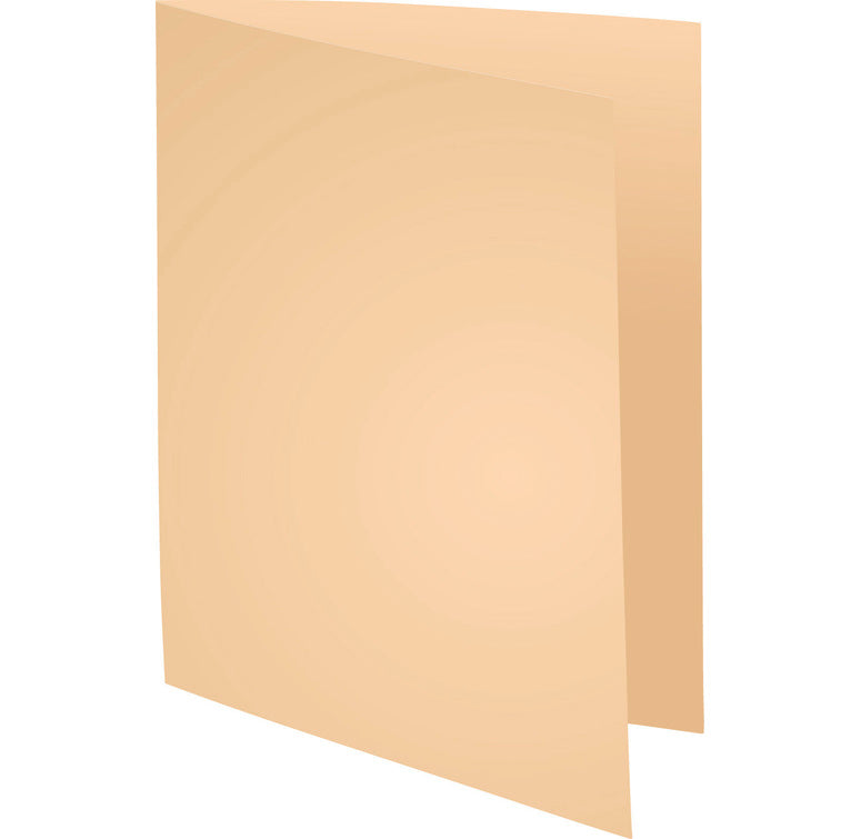 Chemises 170g standard paquet 100 bulle
