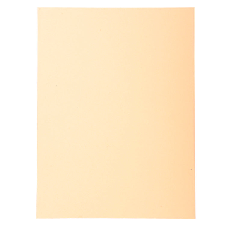 Chemises 170g standard paquet 100 bulle