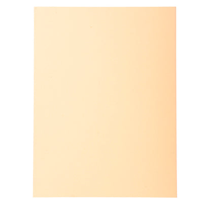 Chemises 170g standard paquet 100 bulle