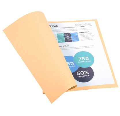 Chemises 170g standard paquet 100 bulle