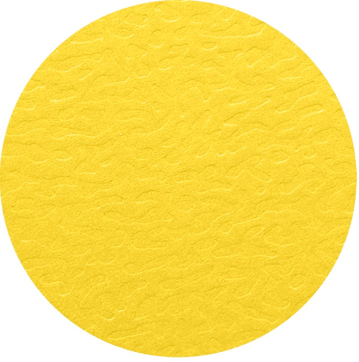 Chemise 3 rabats élastique 43791 jaune