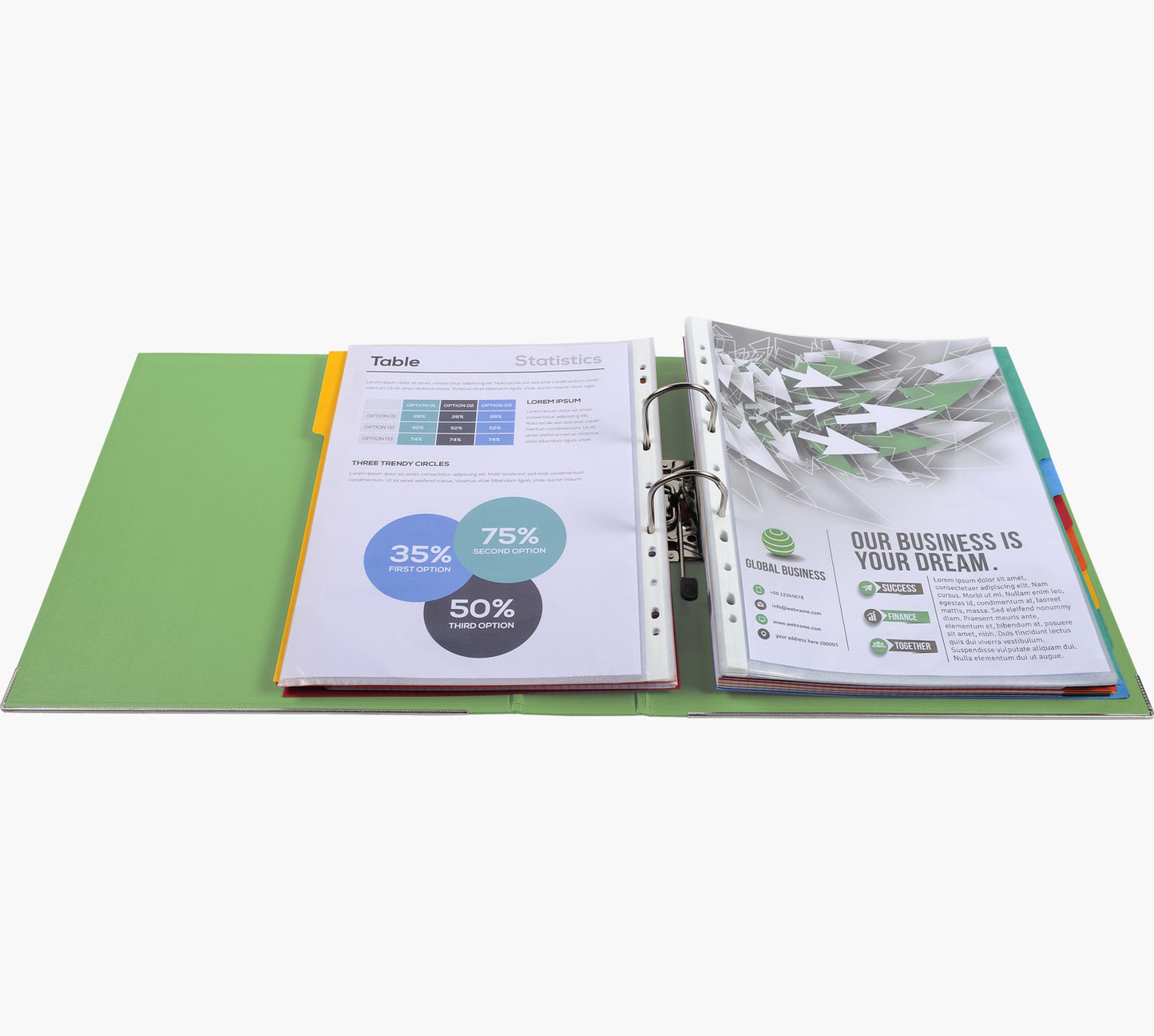 Classeur polypropylène premtouch dos de 80 vert anis