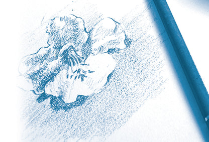 Papier dessin 24x32 -180g 12feuilles +3gratuites