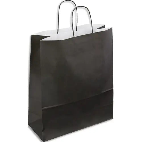 Sac papier kraft  23x30x12 cm - poignées torsadées-paquet de 50 -noir