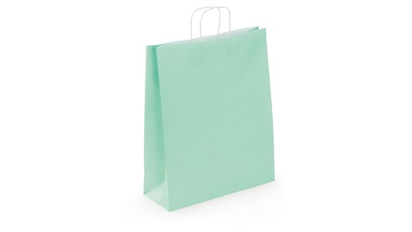 Sac poignées torsadée 23x30x12 vert eap/50