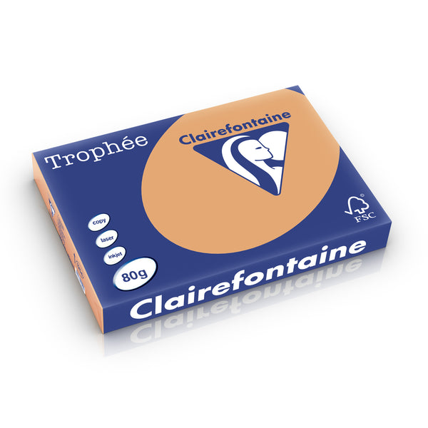 Papier a3 Trophée  80g - caramel perforé 500 feuilles