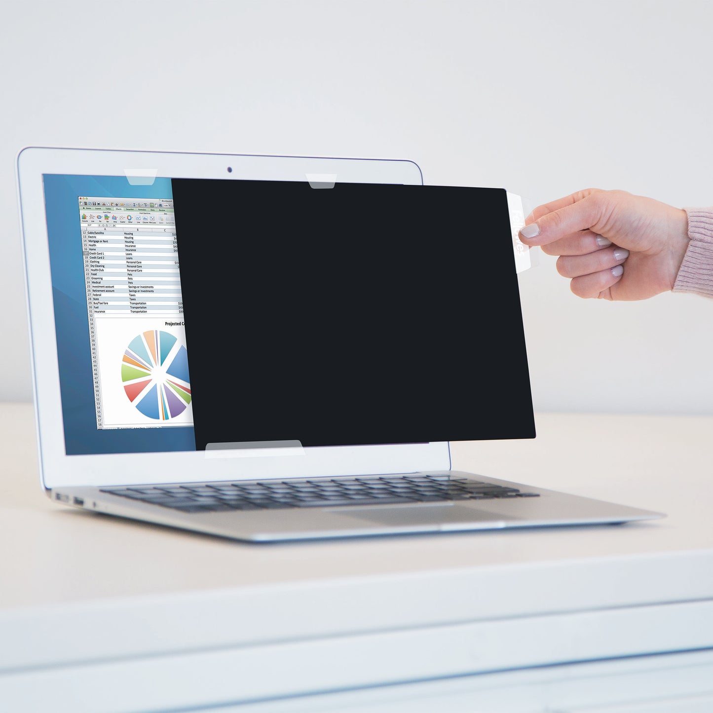 Filtre de confidentialité FELLOWES Privacy Guardian 24"