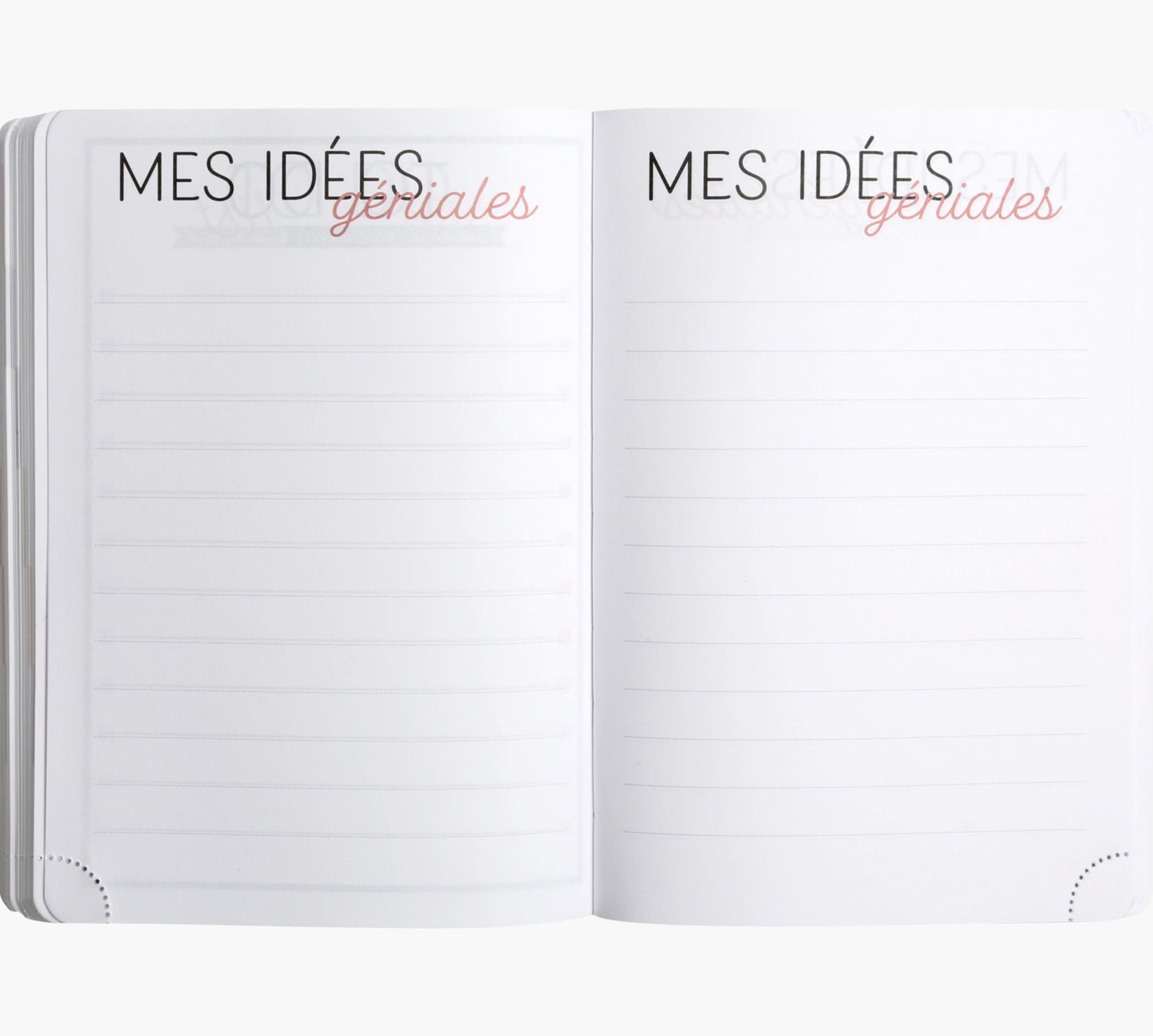 Agenda scolaire journalier Exacompta Forum Color Ariel 12x17 cm Bleu 2025-2026