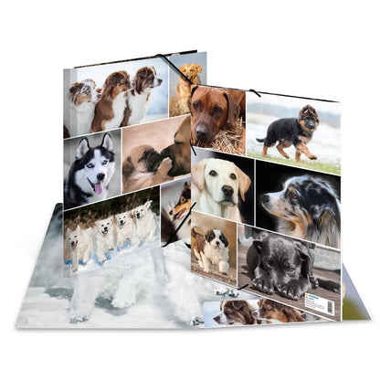 Chemise 3 rabats a4 carton - design chiens