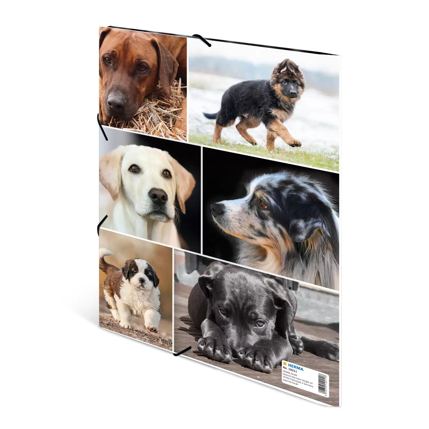 Chemise 3 rabats a4 carton - design chiens