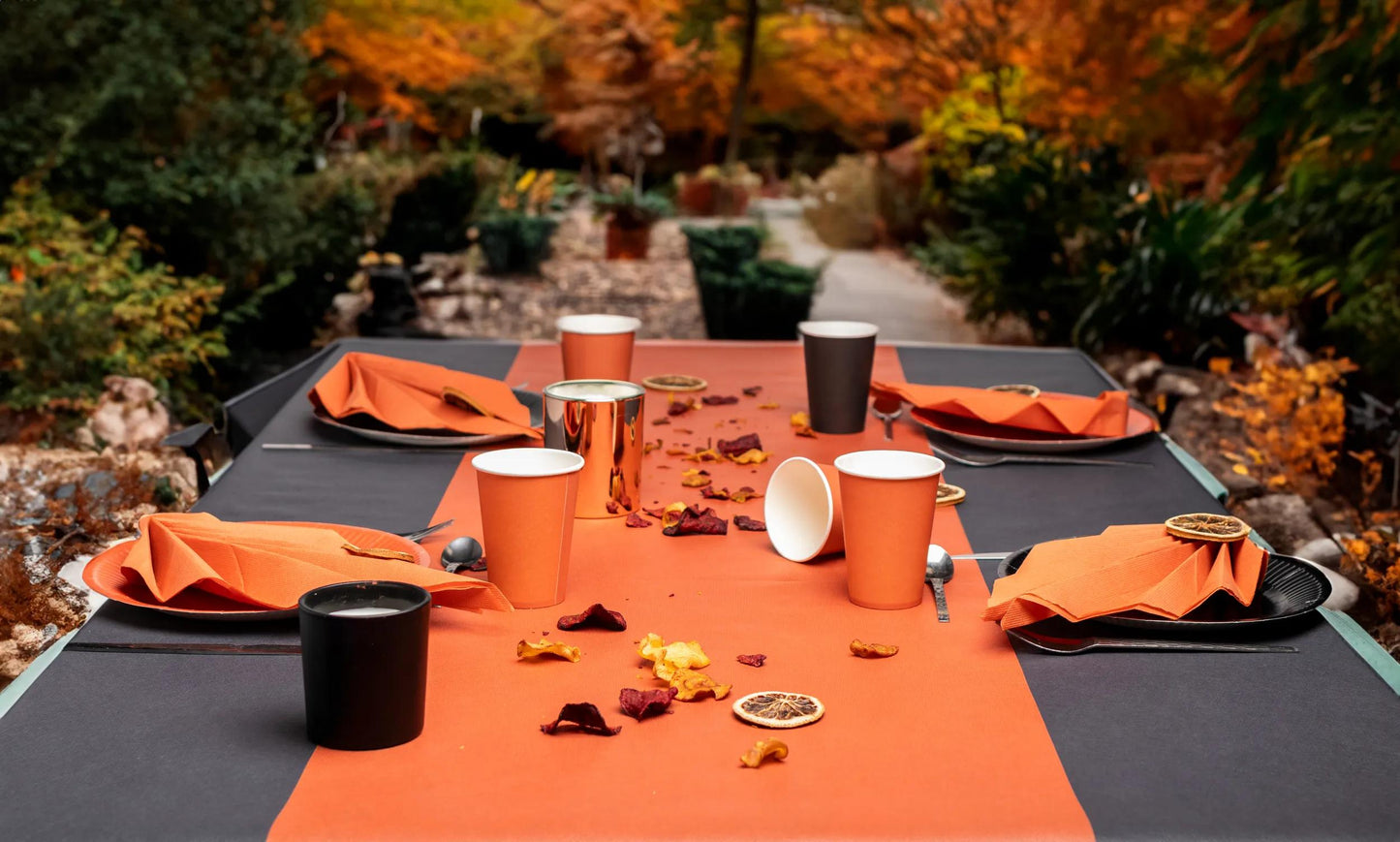 Assiette carton 23cm p/20 noir