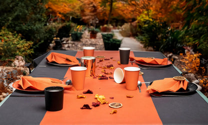 Assiette carton 23cm p/20 noir
