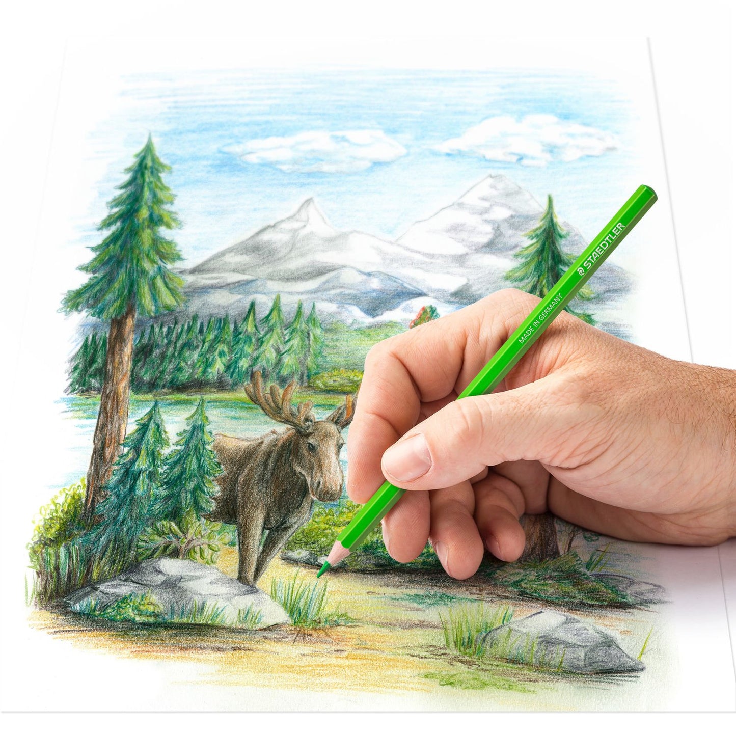 Crayons de couleur hexagonaux - 12 couleurs vives