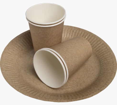 Assiette carton 23cm p/20 kraft