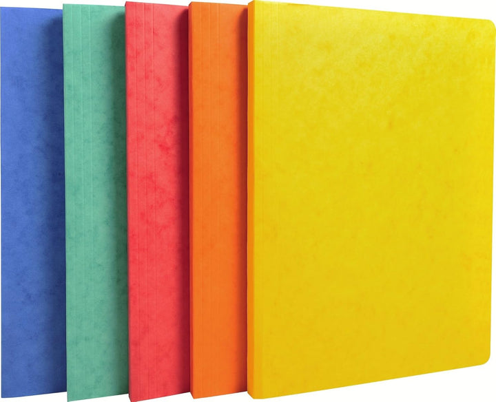 Chemises à dos rainé 24x32 - capacité 500 feuilles