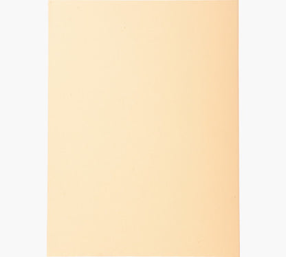 Chemises 220g standard p/100 bulle