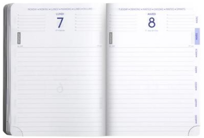 Agenda Forum Manga 12 x 17 cm Journalier Exacompta Août 2026 - Juillet 2027